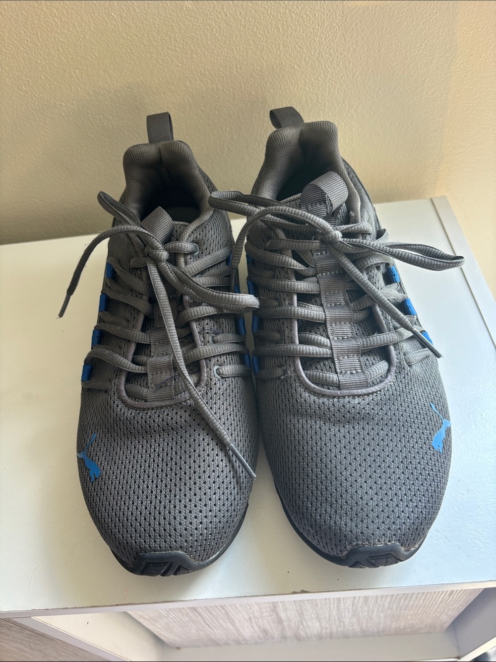 Puma Men Gray Mesh Athletic Sneakers with Blue Accents